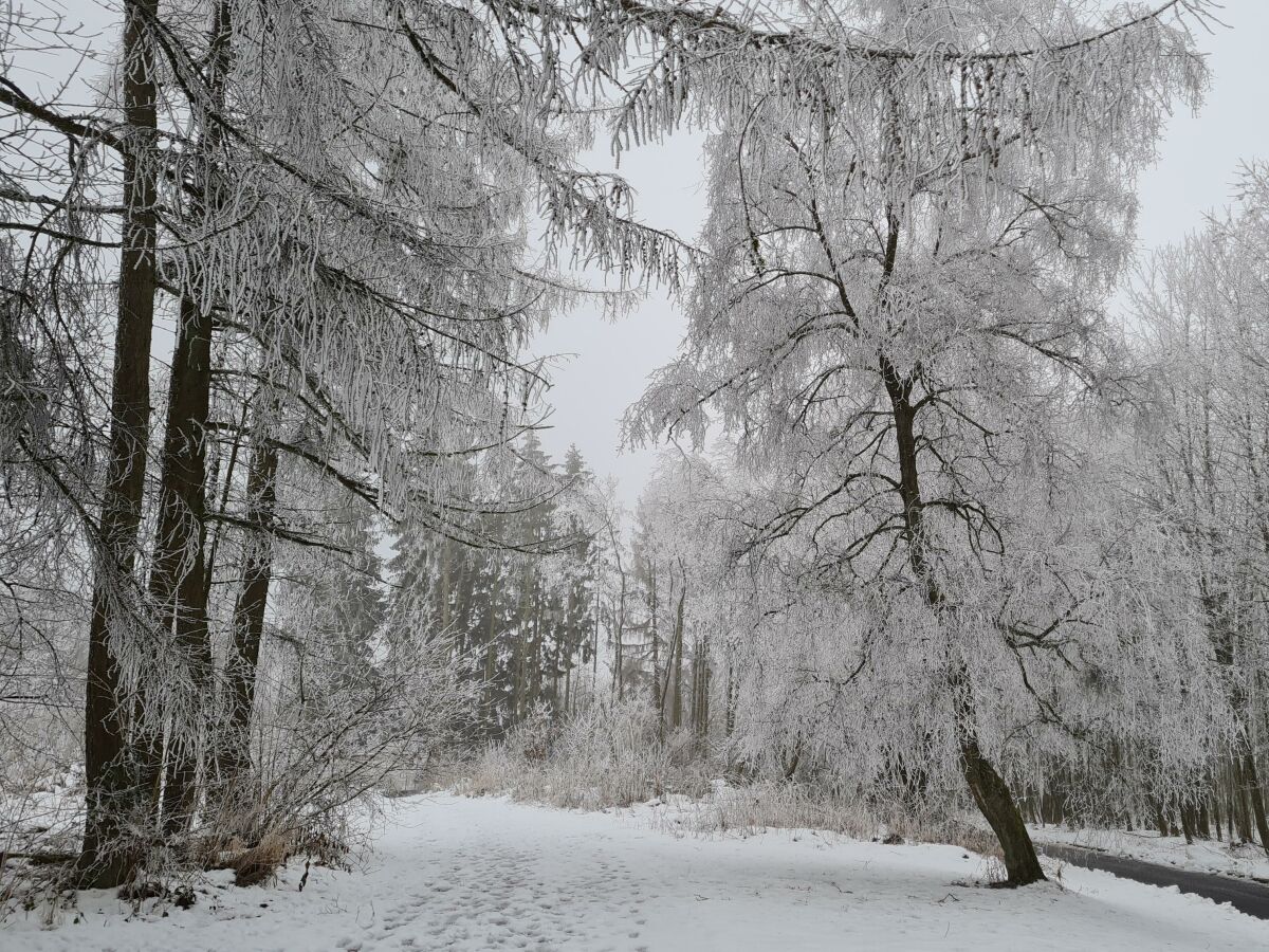 Zufahrt im Winter