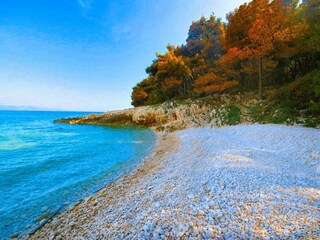 Villa Trget Ambiente 41