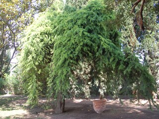 Vakantieappartement Cavaillon Buitenaudio-opname 13