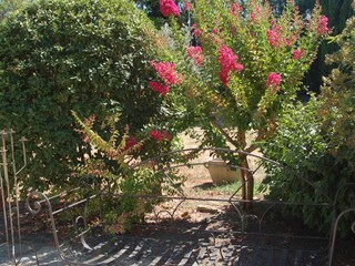 Vakantieappartement Cavaillon Buitenaudio-opname 9