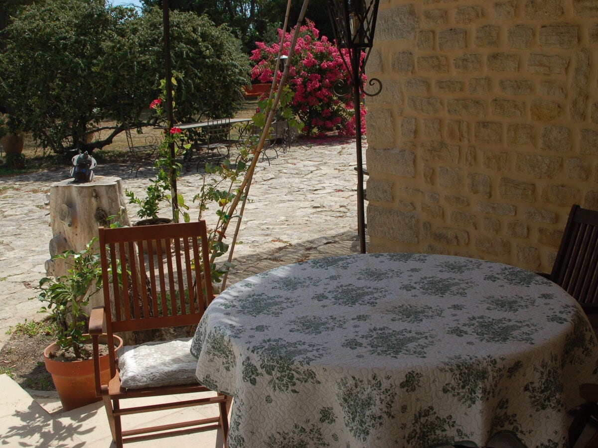 Camargue Terrasse