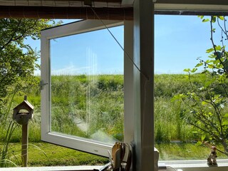 Holiday apartment Schoorldam Outdoor Recording 4