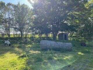 Appartamento per vacanze Schoorldam Registrazione all'aperto 8