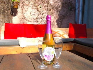 neue loungebank auf der Terrasse zum Garten