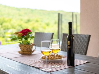 Casa per le vacanze Labin Caratteristiche 30