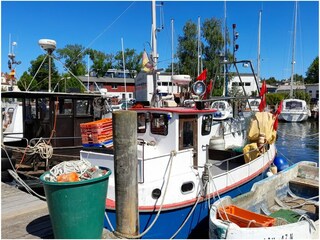 Appartement Putbus Environnement 23