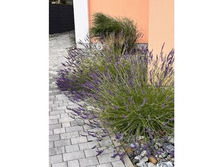 Appartement Putbus Buitenaudio-opname 12