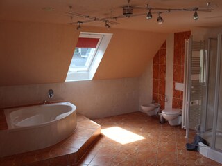 Appartamento per vacanze Annaberg-Buchholz Caratteristiche 21