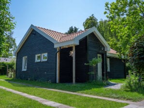 Holiday house Duinoord - Renesse - image1