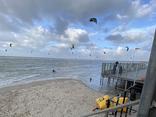NaturalHigh Browersdam