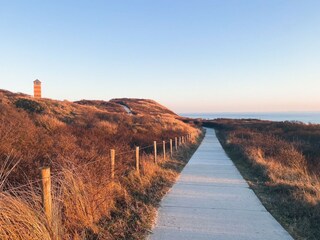 Vakantiehuis Domburg Omgeving 24