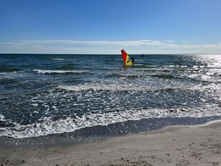 Windsurfer