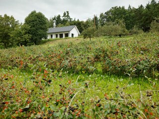 Casa per le vacanze Zöbing an der Raab Registrazione all'aperto 3