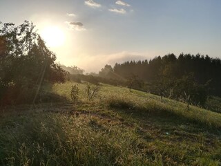 Casa per le vacanze Zöbing an der Raab Ambiente 21