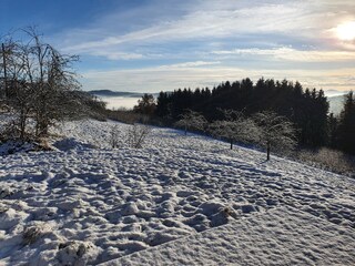 Casa per le vacanze Zöbing an der Raab Ambiente 22