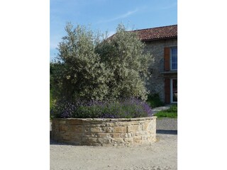 Casa per le vacanze Cortemilia Registrazione all'aperto 7