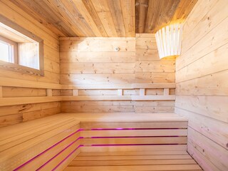 Chalet Patergassen Caratteristiche 8