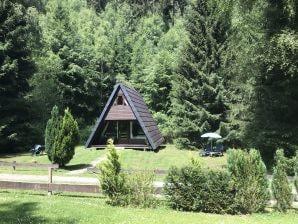 Ferienhaus Am Waldschlößchen - Lautenthal - image1