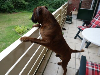 Appartamento per vacanze De Koog Registrazione all'aperto 3