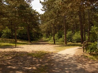 Vakantieappartement De Koog Omgeving 11