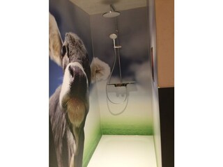 Appartamento per vacanze Egg in Vorarlberg Caratteristiche 9