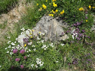 Appartamento per vacanze Egg in Vorarlberg Ambiente 15