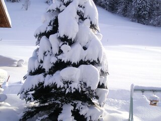 Holiday apartment Egg in Vorarlberg Outdoor Recording 4