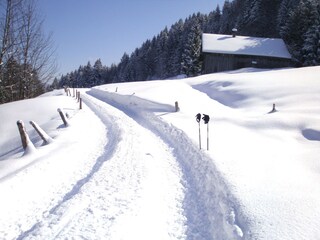 Appartamento per vacanze Egg in Vorarlberg Ambiente 22