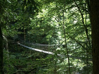 Appartamento per vacanze Egg in Vorarlberg Ambiente 13