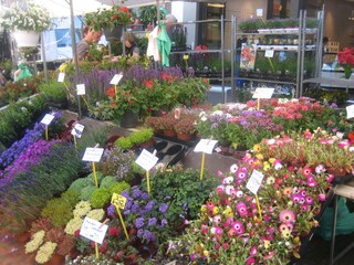 Casa per le vacanze Julianadorp Documento 23