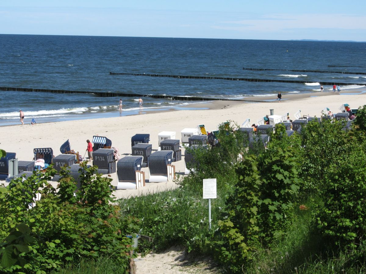 Single frauen insel usedom
