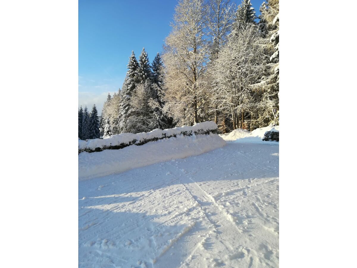 Winterlaandschaft