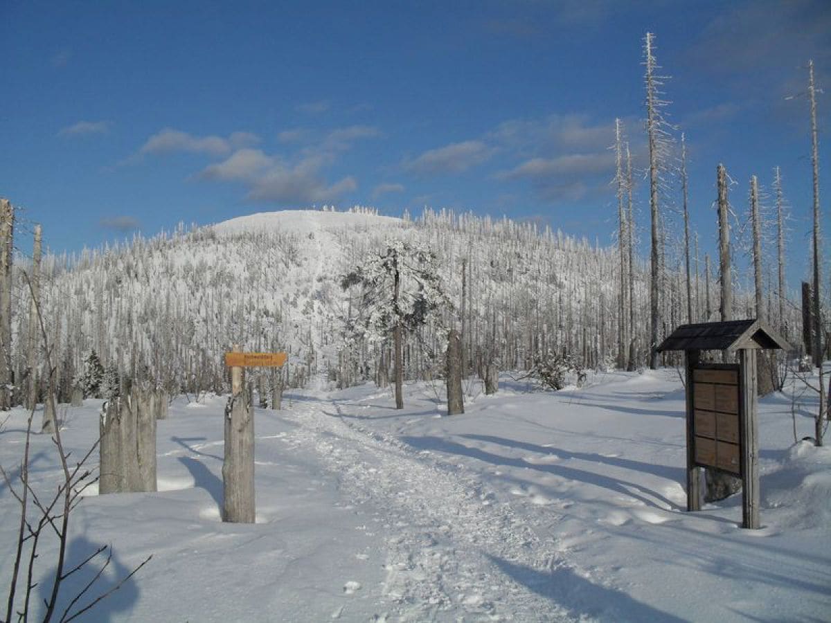 Der Lusen im Winter