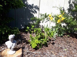 Appartement de vacances Plau am See Enregistrement extérieur 10