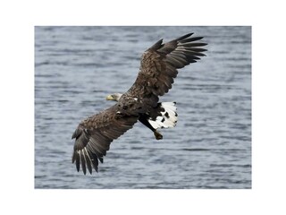 Appartement de vacances Plau am See Environnement 33