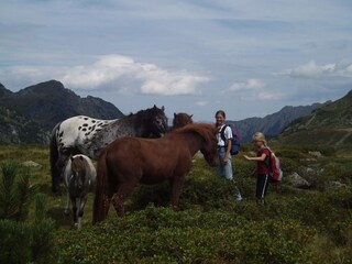 Casa per le vacanze Mariapfarr Ambiente 21