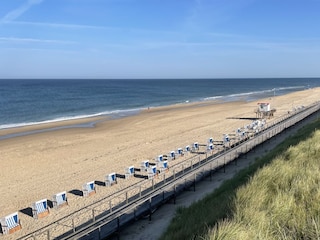Übergang Südwäldchen mit durchgehenden Holzsteg