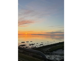 Wattenmeer vom Syltshuttle