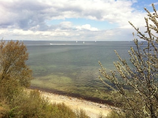 Blick von der Steilküste