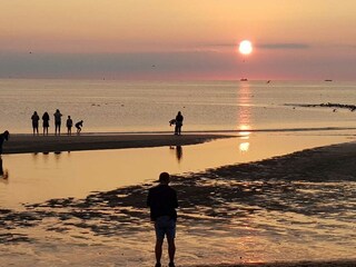 Casa per le vacanze Julianadorp Registrazione all'aperto 5