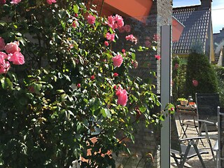 Casa per le vacanze Julianadorp Registrazione all'aperto 1