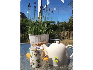 Vakantiehuis Julianadorp Kenmerken 15