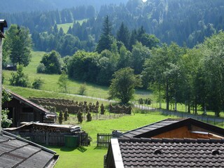 Blick Richtung Ski-, und Wandergebiet Kolben