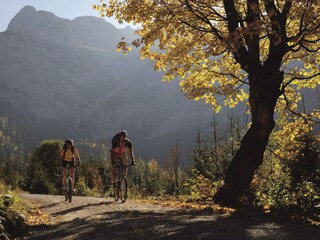 Appartamento per vacanze Ramsau im Zillertal Ambiente 20
