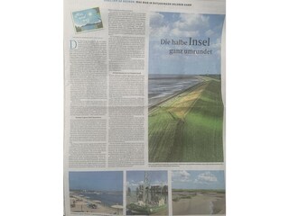 Zeitungsartikel