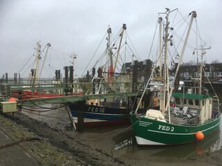 Hafen Fedderwardersiel