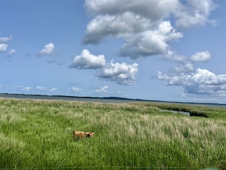 Hinterland am Achterwasser