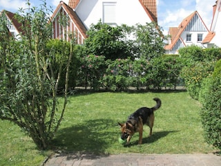 Eingezäunter Garten - Hunde sind herzlich willkommen