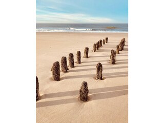 Casa per le vacanze Nieuwvliet Ambiente 31