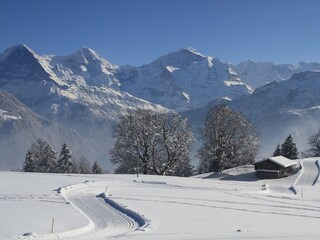 Winterwanderwege und Langlaufloipe vor der Haustüre